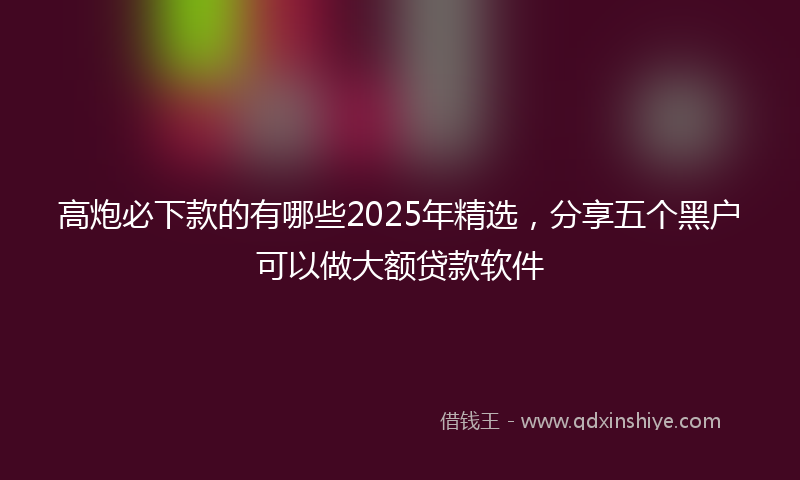 高炮必下款的有哪些2025年精选，分享五个黑户可以做大额贷款软件