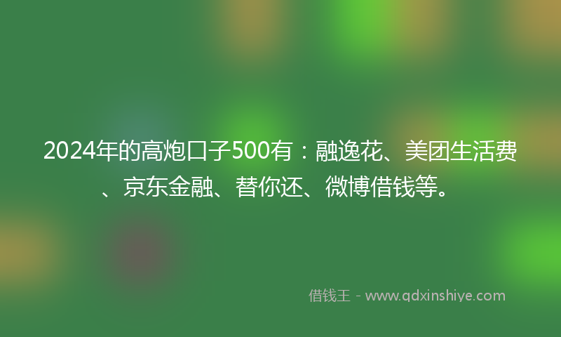 2024年的高炮口子500有：融逸花、美团生活费、京东金融、替你还、微博借钱等。