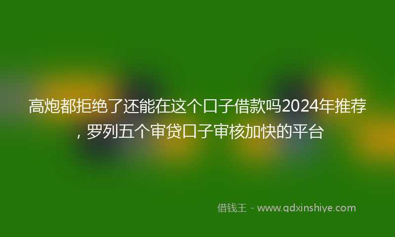 高炮都拒绝了还能在这个口子借款吗2024年推荐，罗列五个审贷口子审核加快的平台
