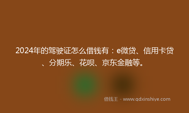 2024年的驾驶证怎么借钱有：e微贷、信用卡贷、分期乐、花呗、京东金融等。