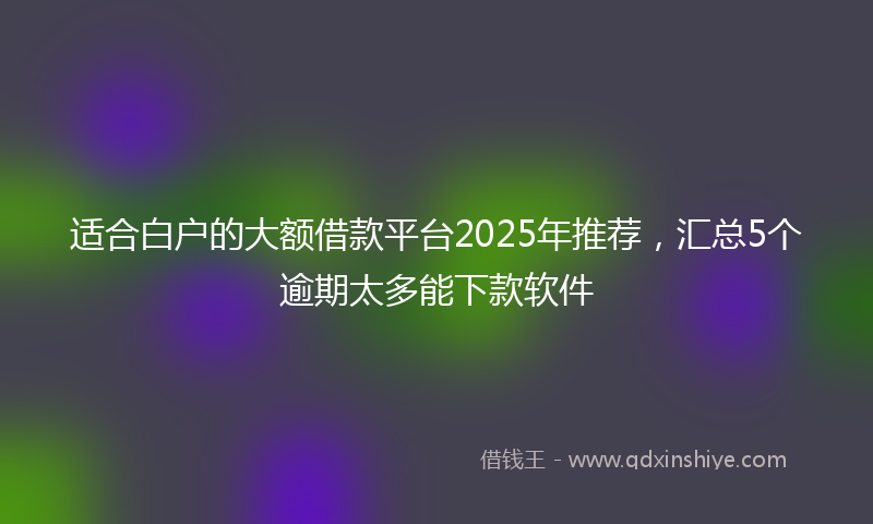 适合白户的大额借款平台2025年推荐，汇总5个逾期太多能下款软件