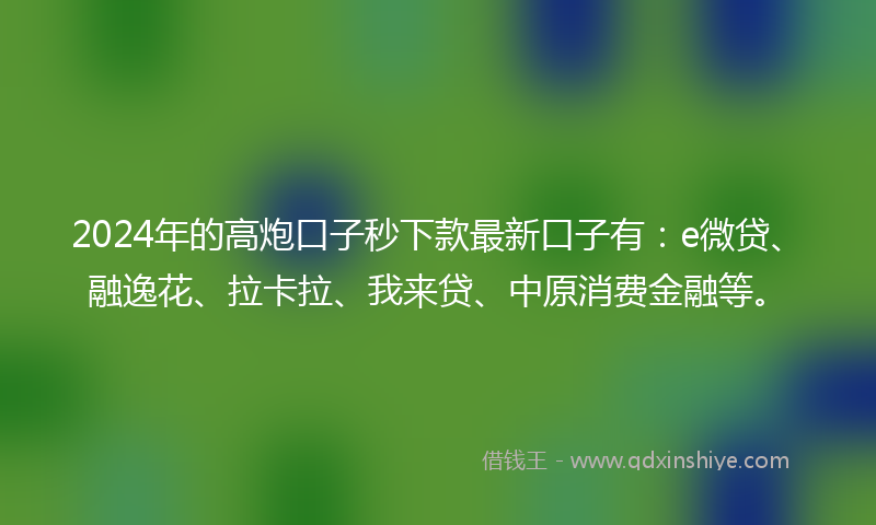 2024年的高炮口子秒下款最新口子有：e微贷、融逸花、拉卡拉、我来贷、中原消费金融等。