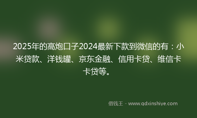 2025年的高炮口子2024最新下款到微信的有：小米贷款、洋钱罐、京东金融、信用卡贷、维信卡卡贷等。