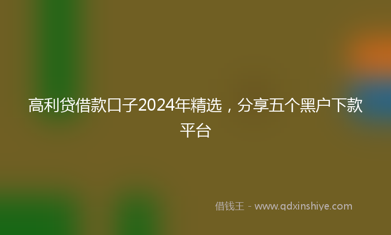 高利贷借款口子2024年精选，分享五个黑户下款平台