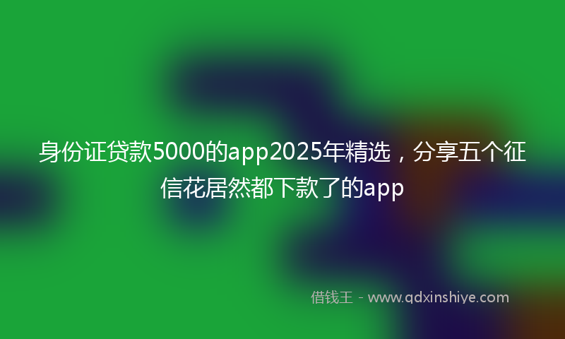 身份证贷款5000的app2025年精选，分享五个征信花居然都下款了的app