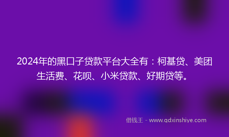 2024年的黑口子贷款平台大全有：柯基贷、美团生活费、花呗、小米贷款、好期贷等。