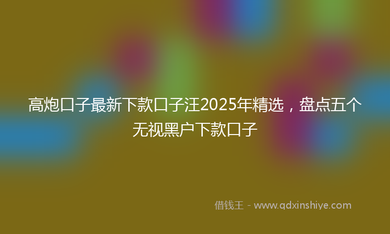 高炮口子最新下款口子汪2025年精选，盘点五个无视黑户下款口子