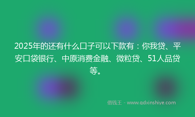 2025年的还有什么口子可以下款有：你我贷、平安口袋银行、中原消费金融、微粒贷、51人品贷等。