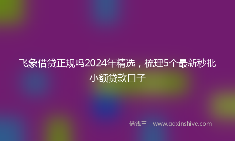 飞象借贷正规吗2024年精选，梳理5个最新秒批小额贷款口子