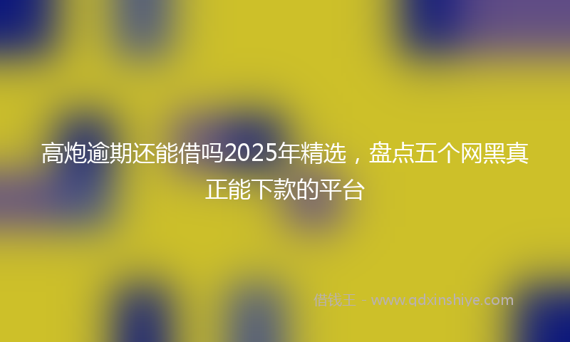 高炮逾期还能借吗2025年精选，盘点五个网黑真正能下款的平台