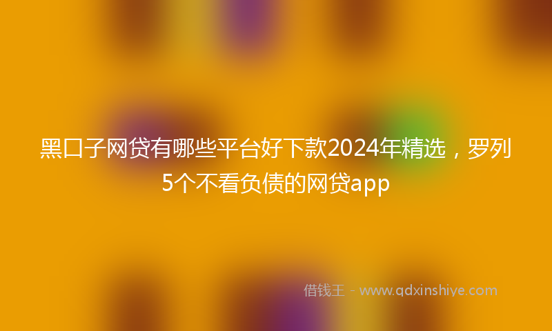黑口子网贷有哪些平台好下款2024年精选，罗列5个不看负债的网贷app