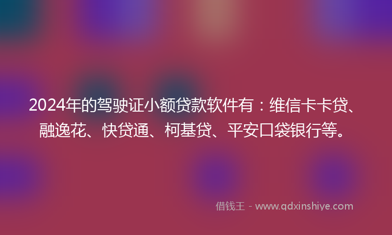 2024年的驾驶证小额贷款软件有：维信卡卡贷、融逸花、快贷通、柯基贷、平安口袋银行等。