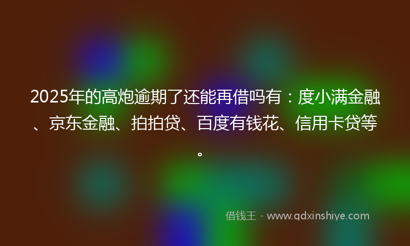 2025年的高炮逾期了还能再借吗有：度小满金融、京东金融、拍拍贷、百度有钱花、信用卡贷等。