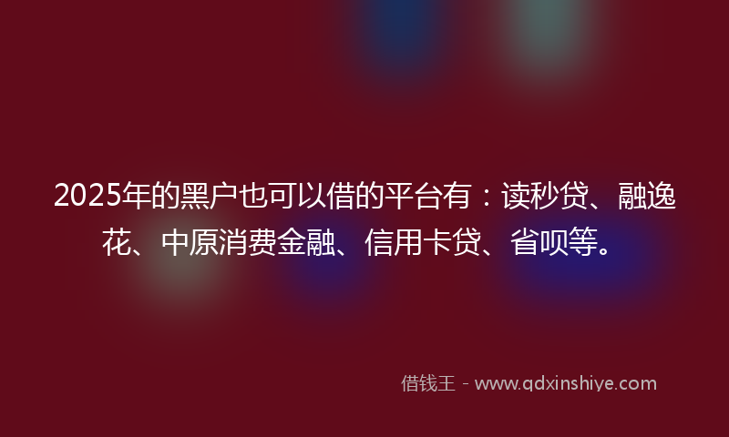 2025年的黑户也可以借的平台有：读秒贷、融逸花、中原消费金融、信用卡贷、省呗等。