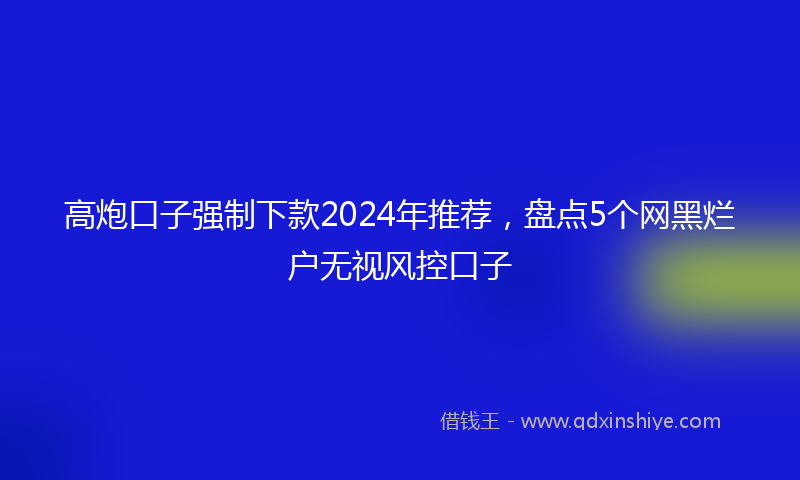 高炮口子强制下款2024年推荐，盘点5个网黑烂户无视风控口子