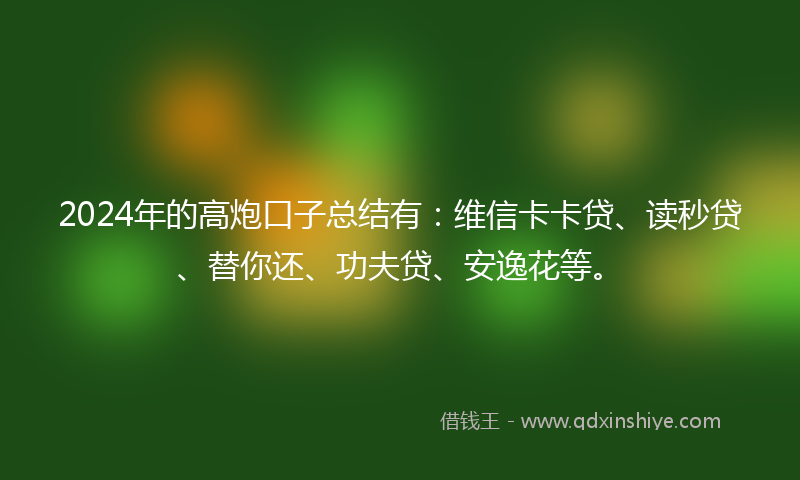 2024年的高炮口子总结有：维信卡卡贷、读秒贷、替你还、功夫贷、安逸花等。