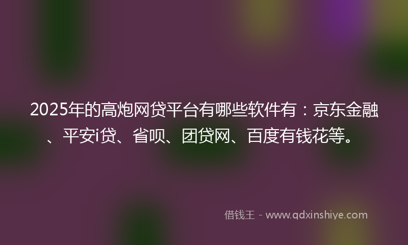 2025年的高炮网贷平台有哪些软件有：京东金融、平安i贷、省呗、团贷网、百度有钱花等。