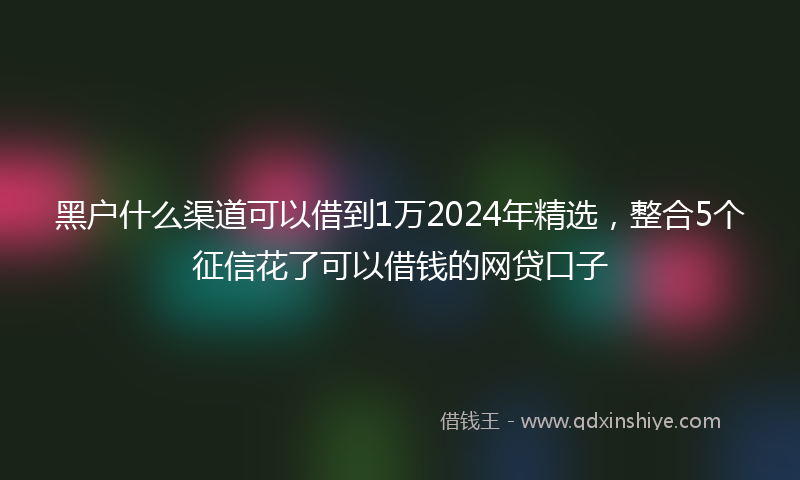 黑户什么渠道可以借到1万2024年精选，整合5个征信花了可以借钱的网贷口子