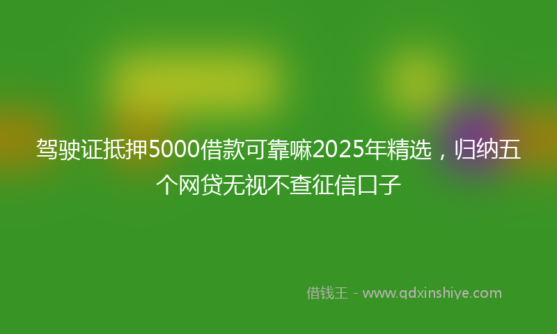 驾驶证抵押5000借款可靠嘛2025年精选，归纳五个网贷无视不查征信口子