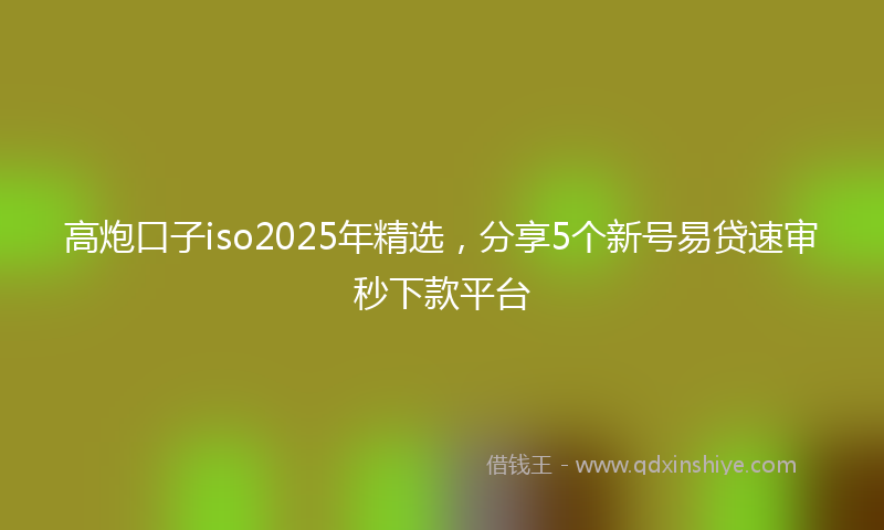 高炮口子iso2025年精选，分享5个新号易贷速审秒下款平台