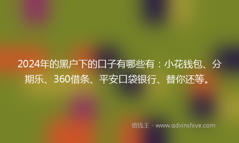 2024年的黑户下的口子有哪些有：小花钱包、分期乐、360借条、平安口袋银行、替你还等。