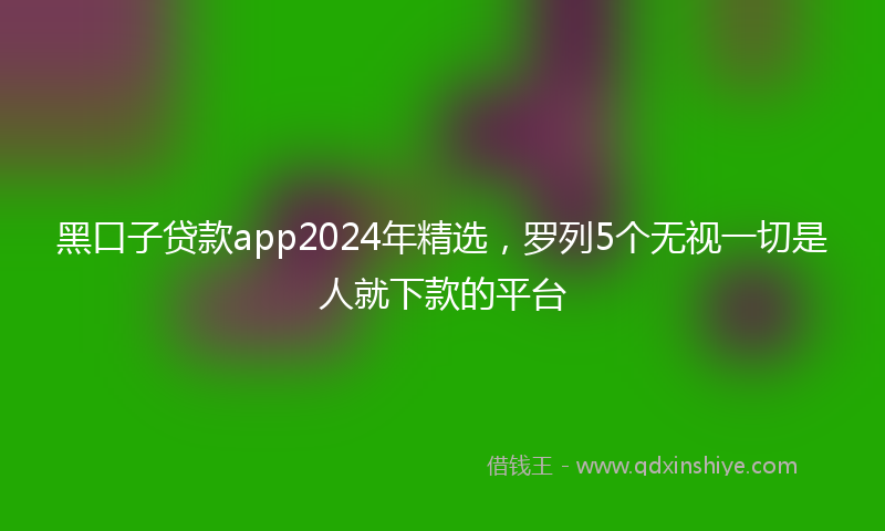 黑口子贷款app2024年精选，罗列5个无视一切是人就下款的平台