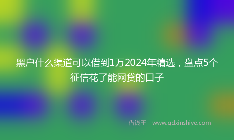 黑户什么渠道可以借到1万2024年精选，盘点5个征信花了能网贷的口子