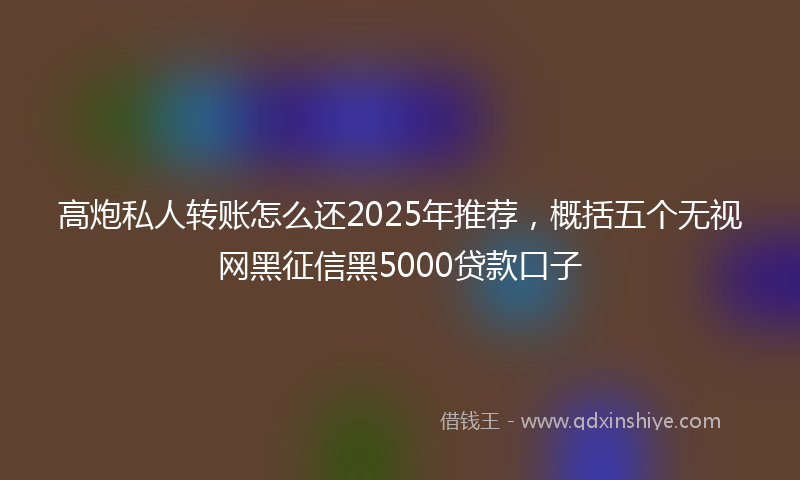 高炮私人转账怎么还2025年推荐，概括五个无视网黑征信黑5000贷款口子