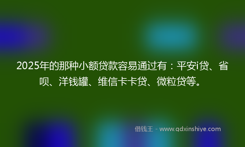 2025年的那种小额贷款容易通过有：平安i贷、省呗、洋钱罐、维信卡卡贷、微粒贷等。