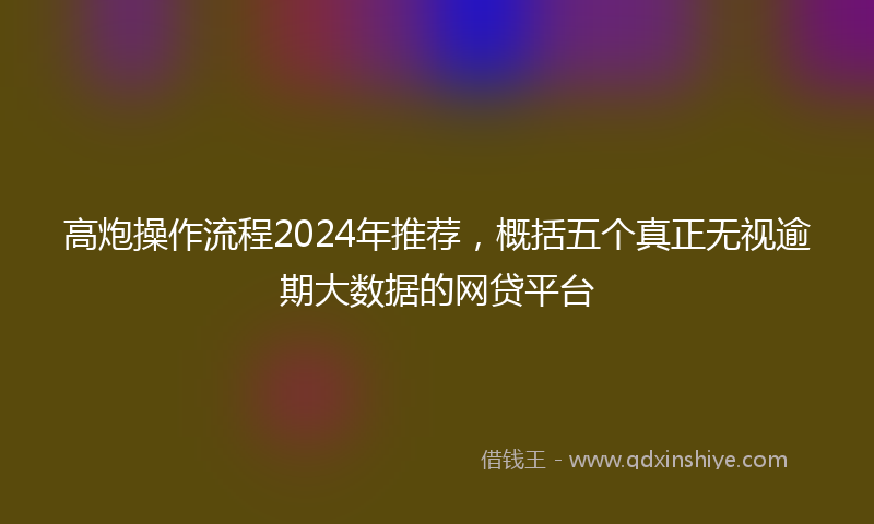 高炮操作流程2024年推荐，概括五个真正无视逾期大数据的网贷平台
