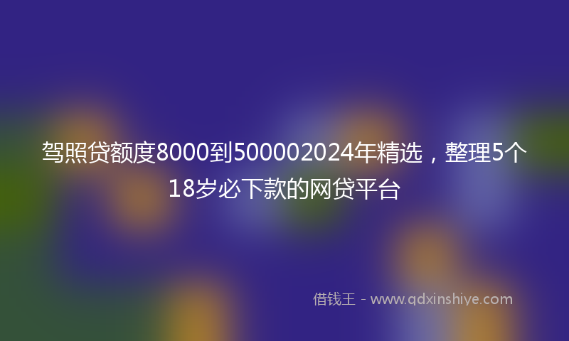 驾照贷额度8000到500002024年精选，整理5个18岁必下款的网贷平台