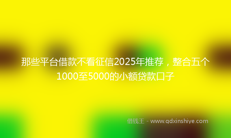 那些平台借款不看征信2025年推荐，整合五个1000至5000的小额贷款口子