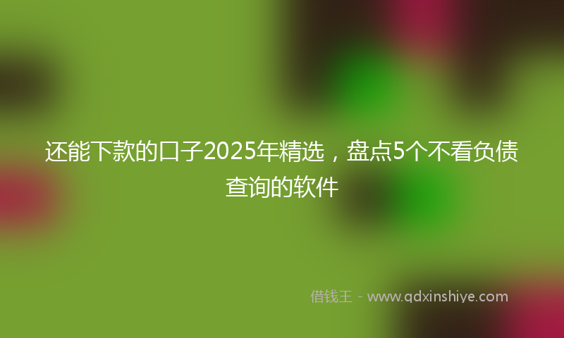 还能下款的口子2025年精选，盘点5个不看负债查询的软件