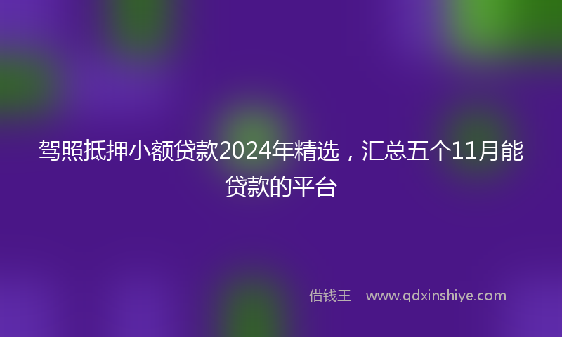 驾照抵押小额贷款2024年精选，汇总五个11月能贷款的平台