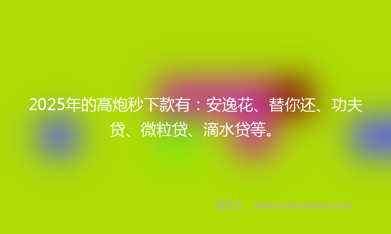 2025年的高炮秒下款有：安逸花、替你还、功夫贷、微粒贷、滴水贷等。