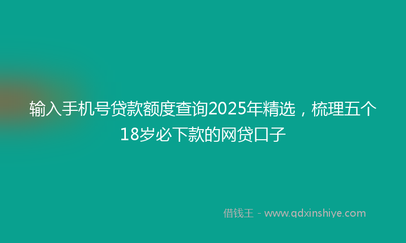 输入手机号贷款额度查询2025年精选，梳理五个18岁必下款的网贷口子