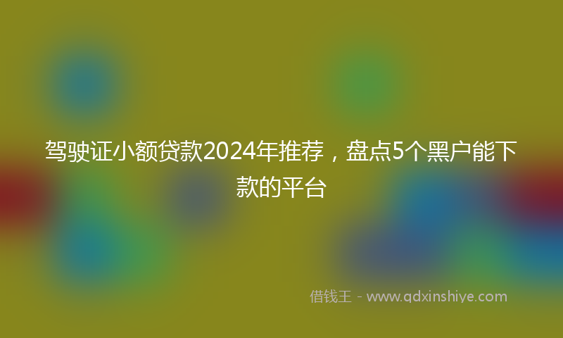 驾驶证小额贷款2024年推荐，盘点5个黑户能下款的平台