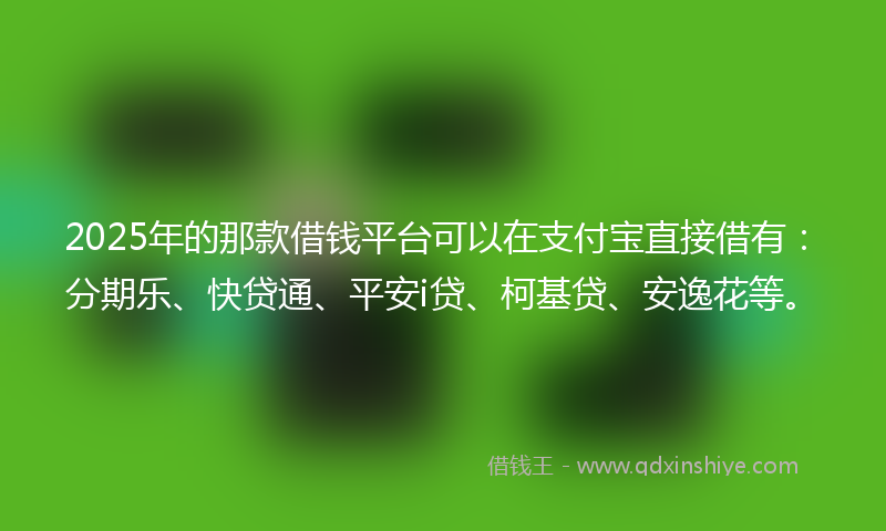 2025年的那款借钱平台可以在支付宝直接借有：分期乐、快贷通、平安i贷、柯基贷、安逸花等。