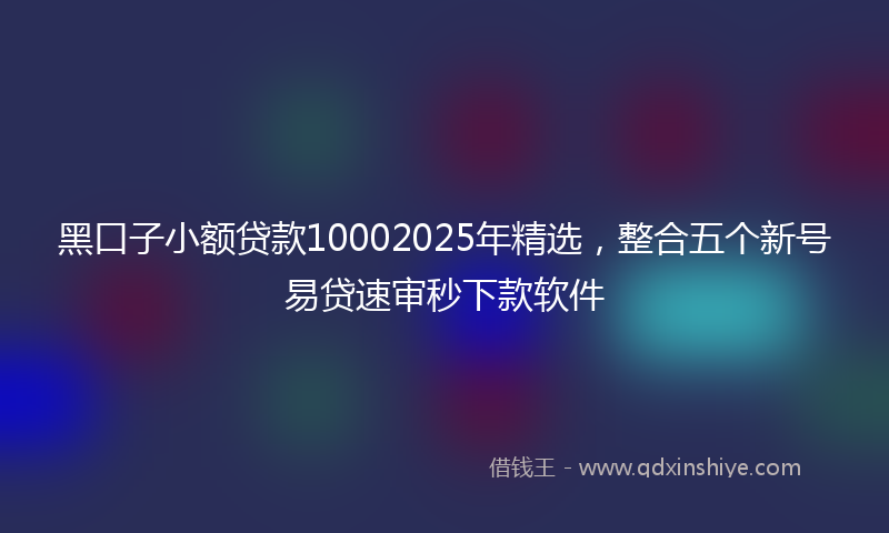 黑口子小额贷款10002025年精选，整合五个新号易贷速审秒下款软件