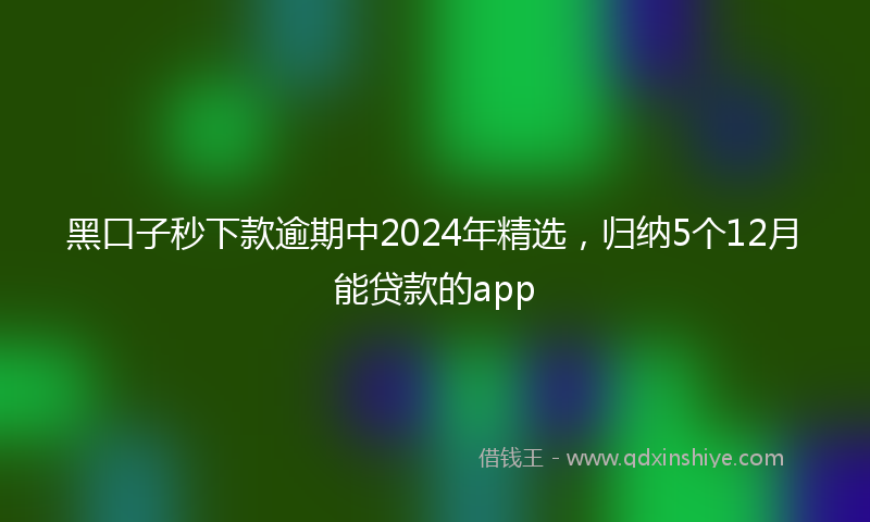 黑口子秒下款逾期中2024年精选，归纳5个12月能贷款的app
