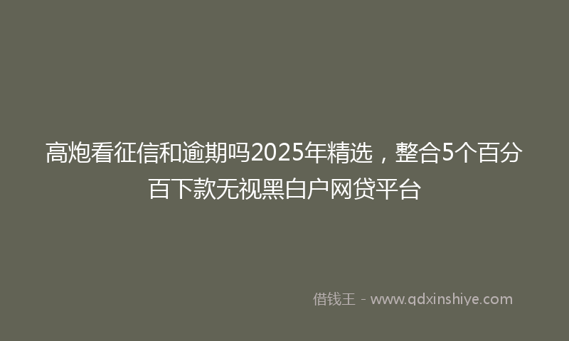 高炮看征信和逾期吗2025年精选，整合5个百分百下款无视黑白户网贷平台