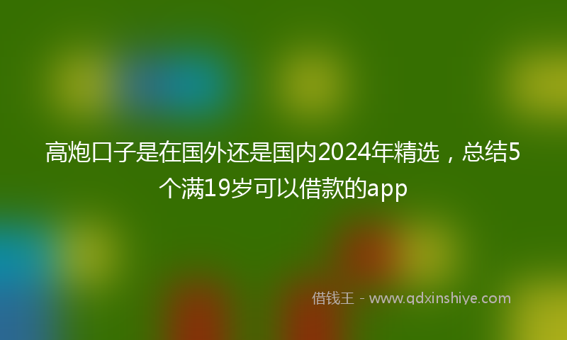 高炮口子是在国外还是国内2024年精选，总结5个满19岁可以借款的app