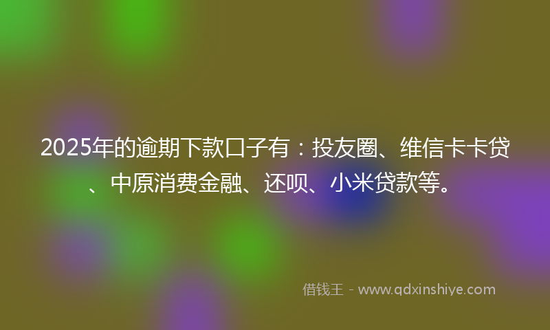 2025年的逾期下款口子有：投友圈、维信卡卡贷、中原消费金融、还呗、小米贷款等。