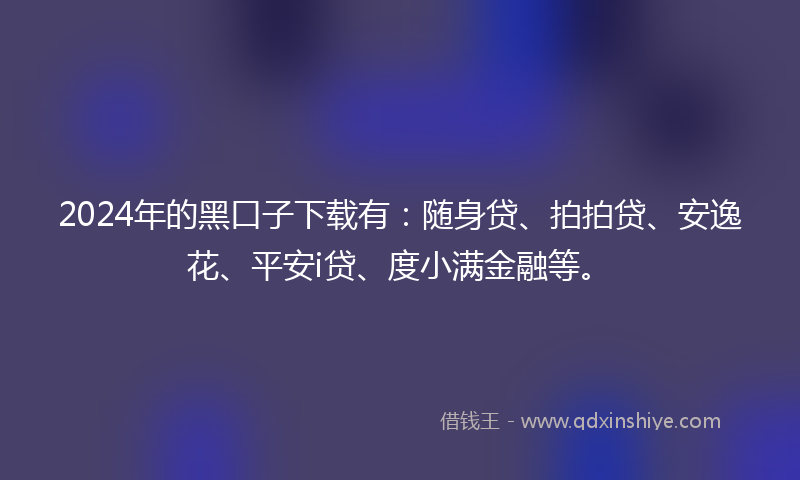 2024年的黑口子下载有：随身贷、拍拍贷、安逸花、平安i贷、度小满金融等。