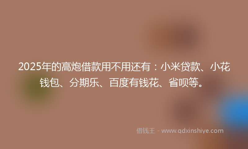2025年的高炮借款用不用还有：小米贷款、小花钱包、分期乐、百度有钱花、省呗等。