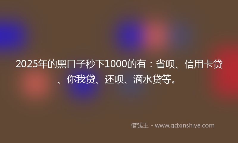 2025年的黑口子秒下1000的有：省呗、信用卡贷、你我贷、还呗、滴水贷等。