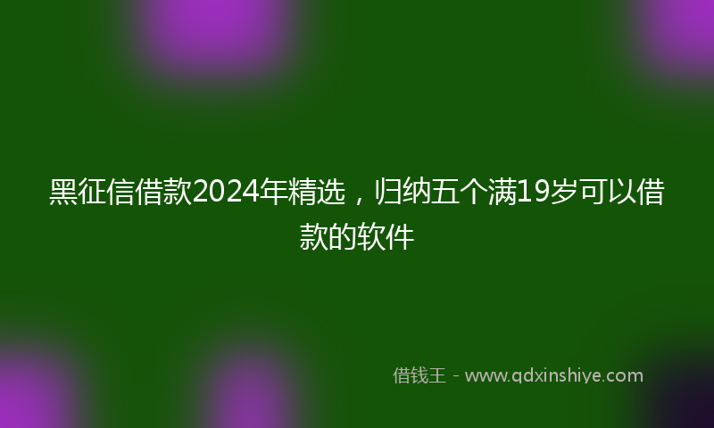 黑征信借款2024年精选，归纳五个满19岁可以借款的软件