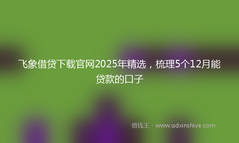 飞象借贷下载官网2025年精选，梳理5个12月能贷款的口子