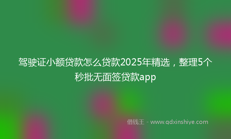 驾驶证小额贷款怎么贷款2025年精选，整理5个秒批无面签贷款app