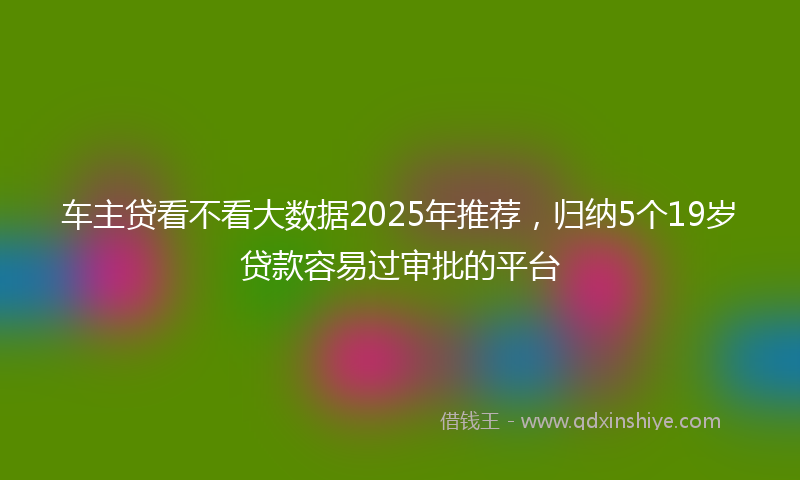 车主贷看不看大数据2025年推荐，归纳5个19岁贷款容易过审批的平台